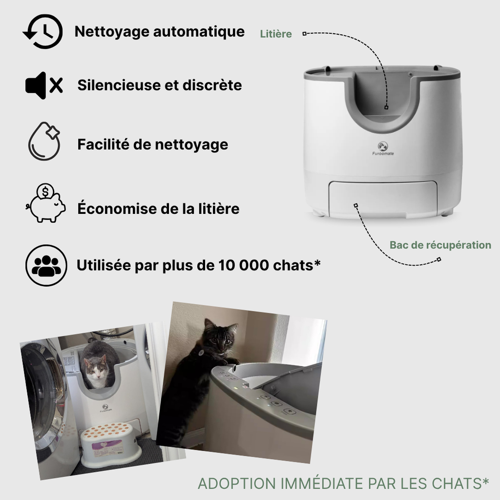 Clean Cats – La Litière Automatique Intelligente