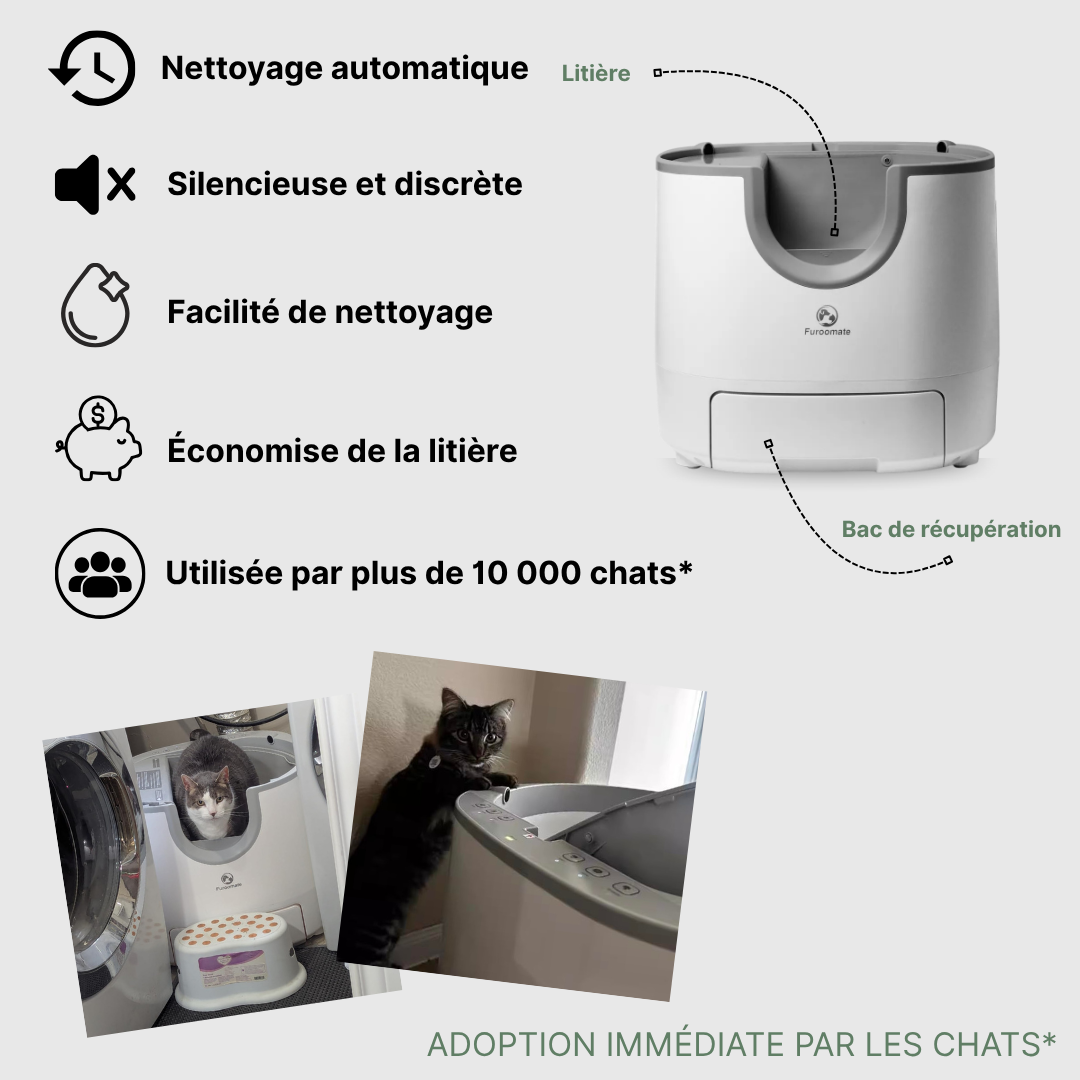 Clean Cats – La Litière Automatique Intelligente