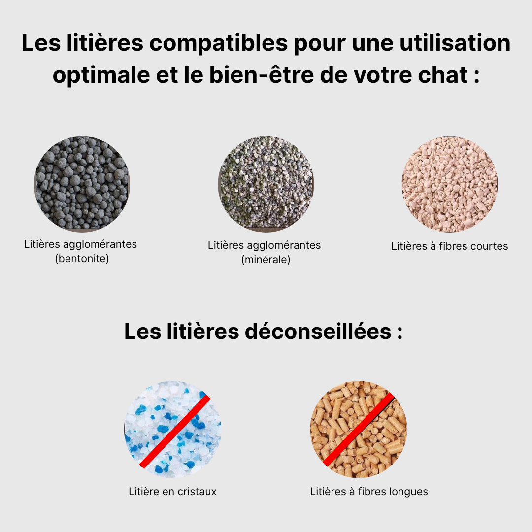 Clean Cats – La Litière Automatique Intelligente