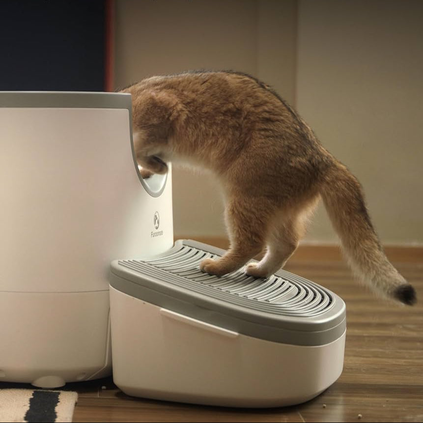 Clean Cats - Marche Confort, Accès Facile à la Litière Automatique