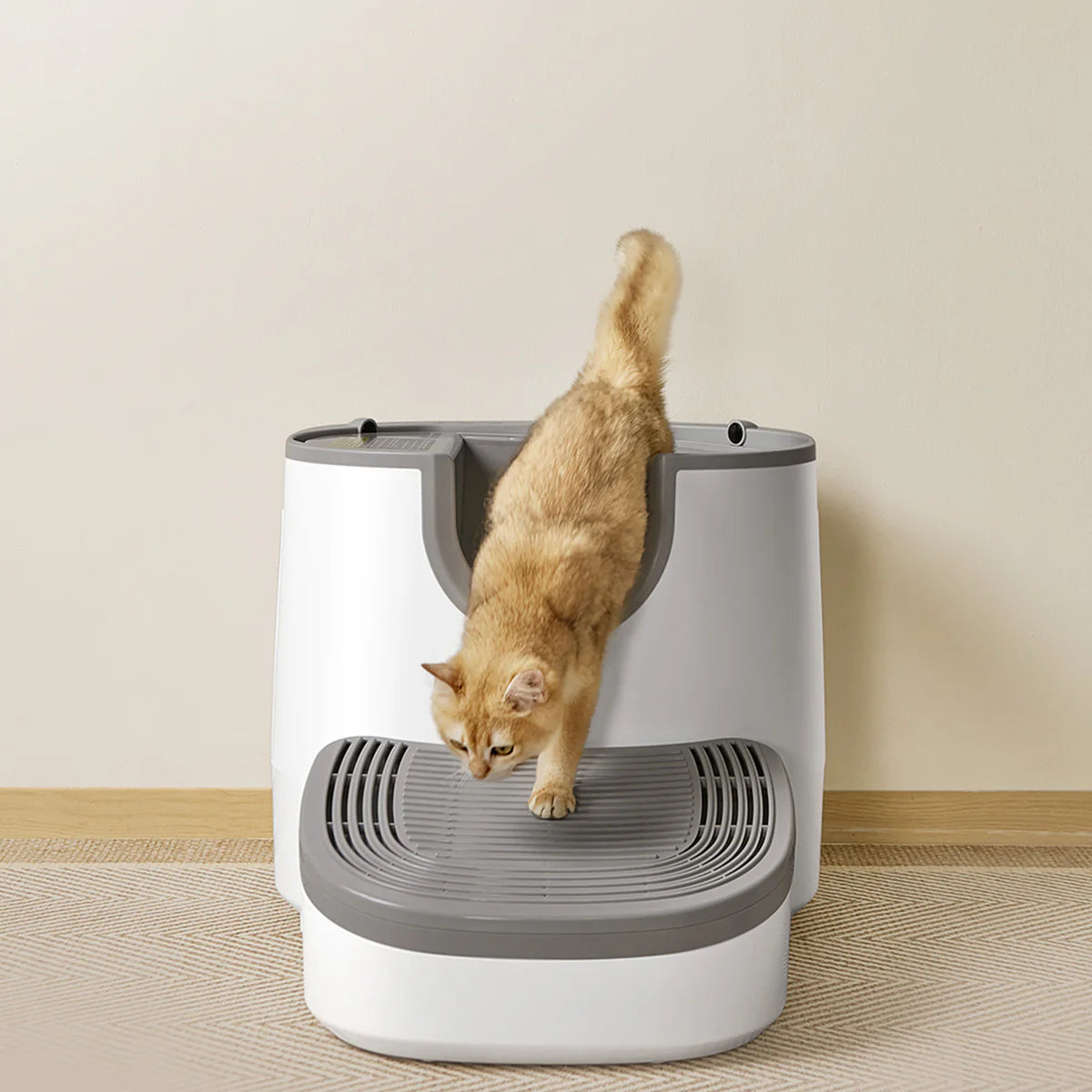 Clean Cats - Marche Confort, Accès Facile à la Litière Automatique