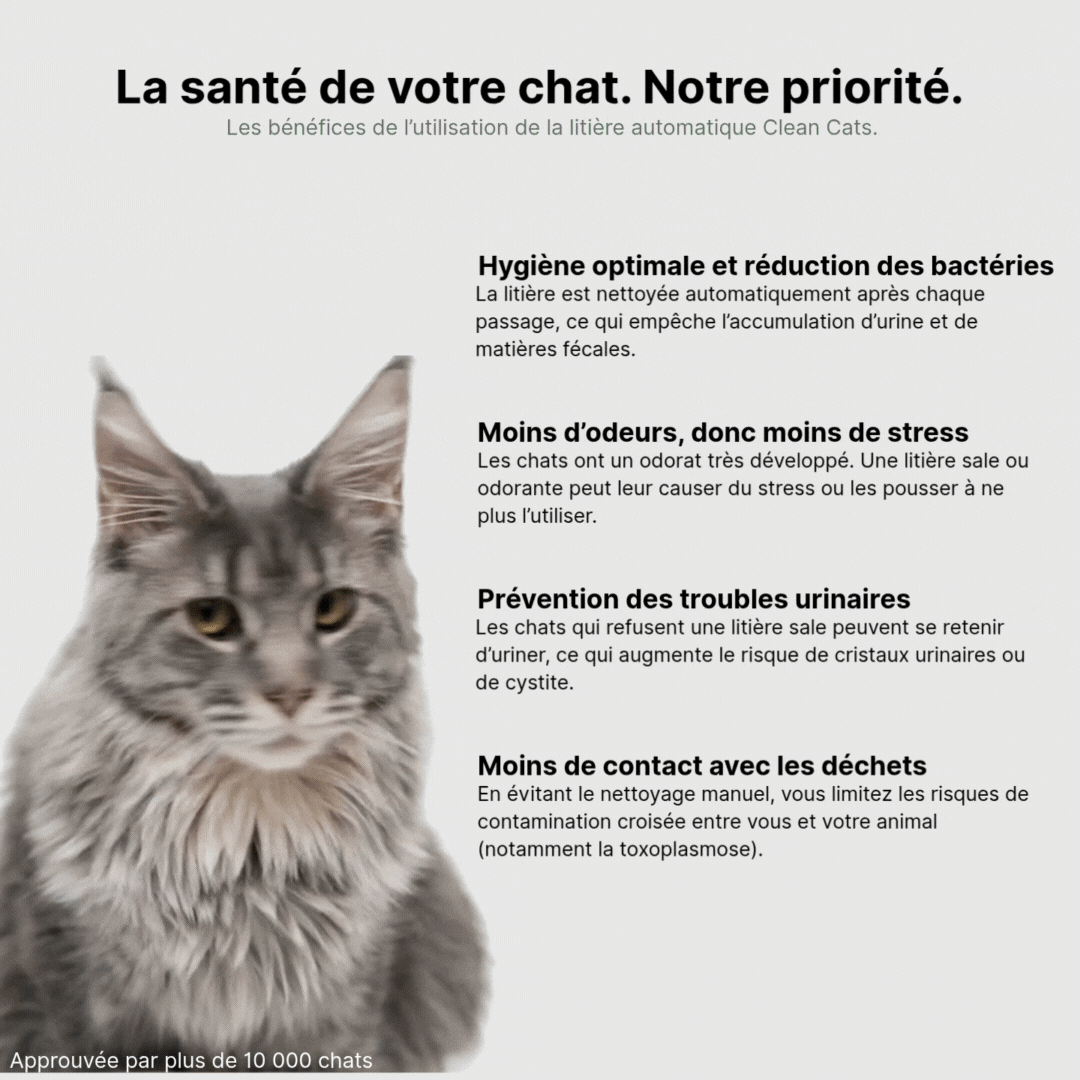 Clean Cats – La Litière Automatique Intelligente