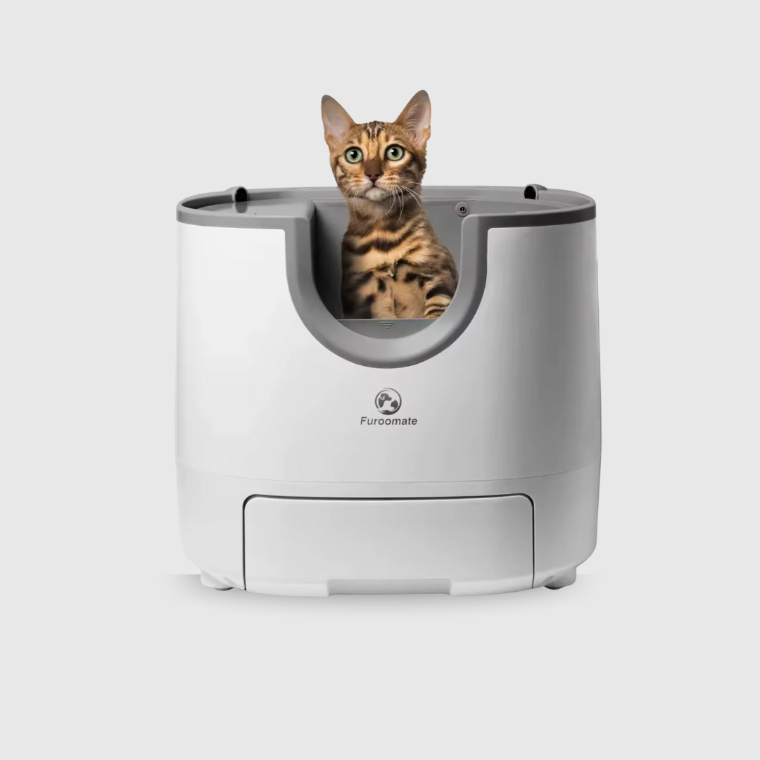 Clean Cats – La Litière Automatique Intelligente