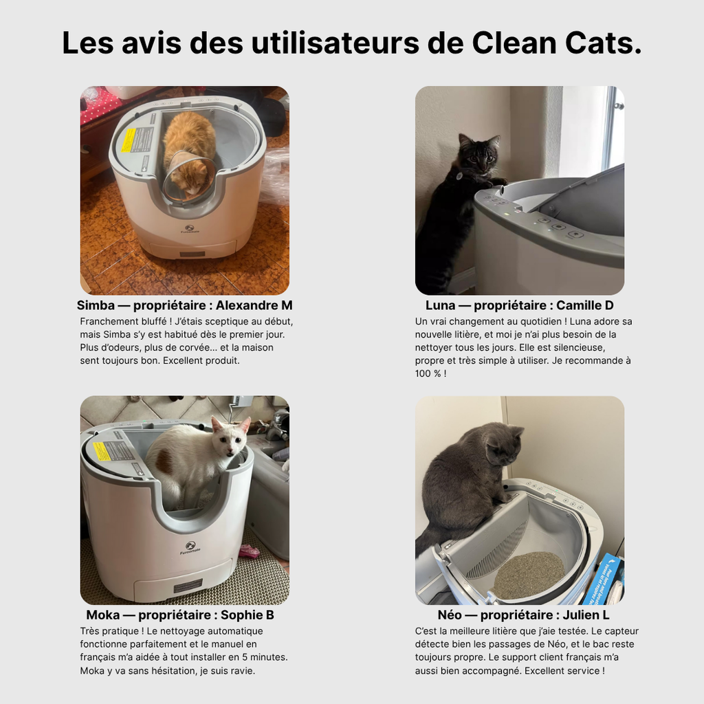 Clean Cats – La Litière Automatique Intelligente